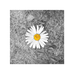 美女又黄又刺激又爽
