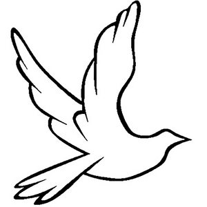 美女又黄又刺激又爽
